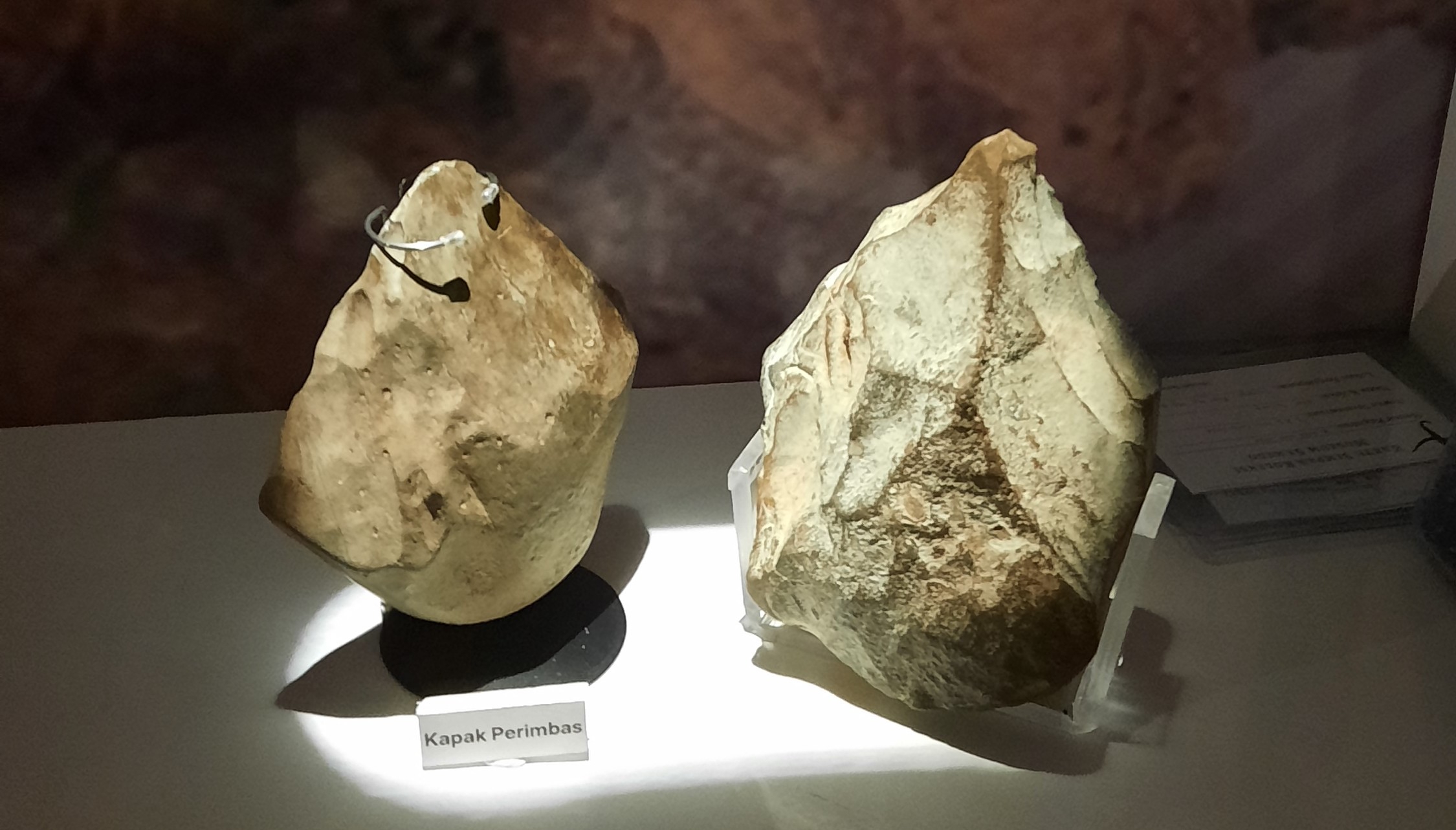 Kapak Perimbas