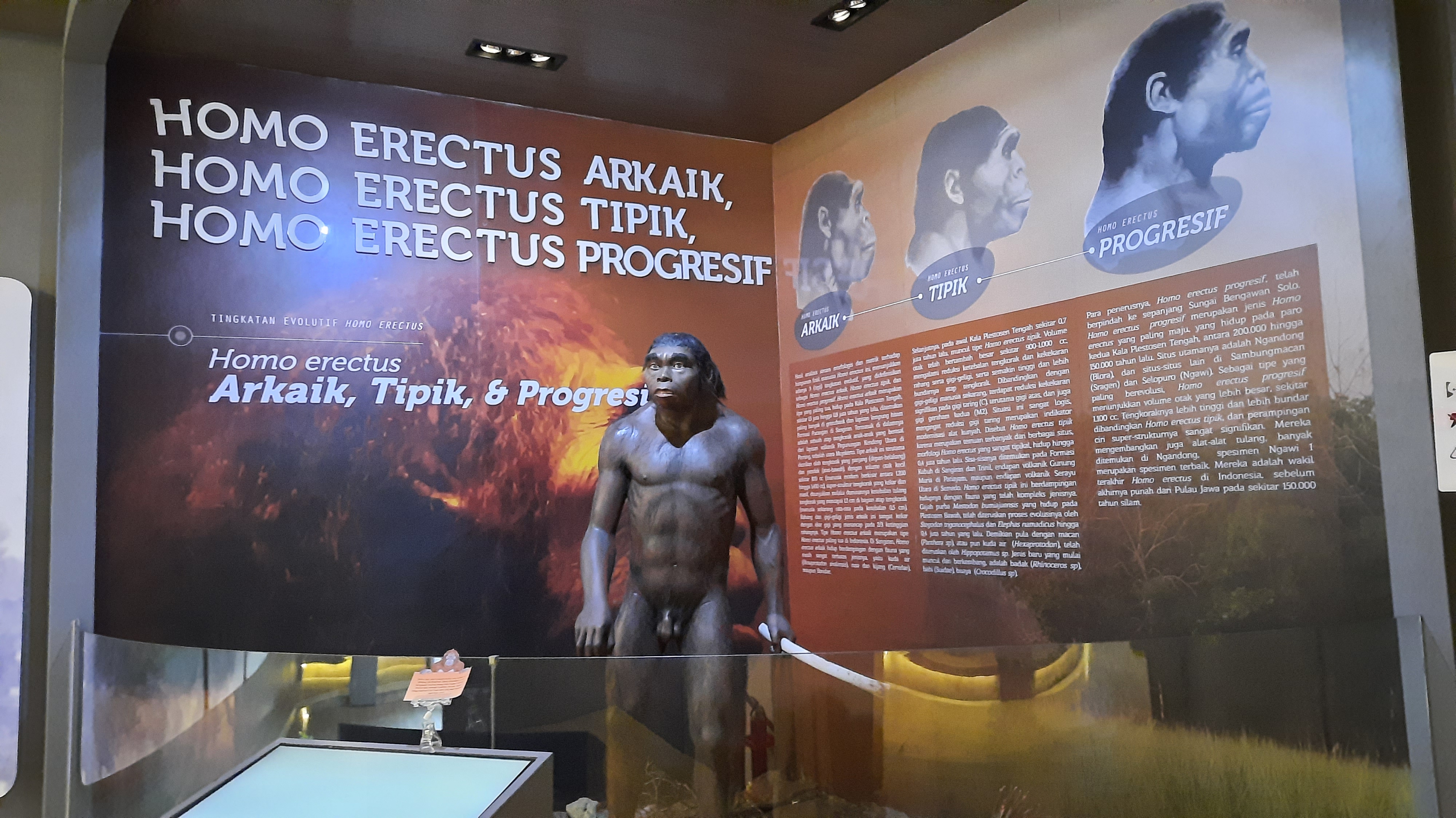Museum Semedo